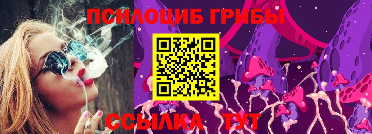Топки  Галлюциногенные грибы ЛСД  Вход с VPN  Галлюциногенные грибы Psilocybine cubensis 